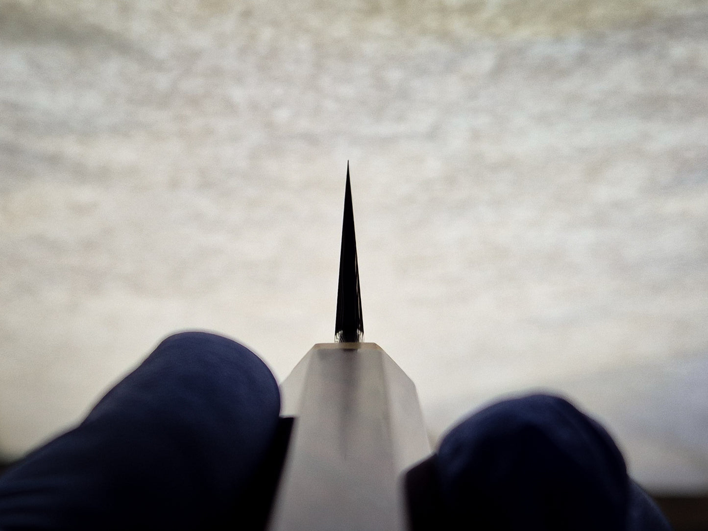 DCI25: Damacore Honesuki